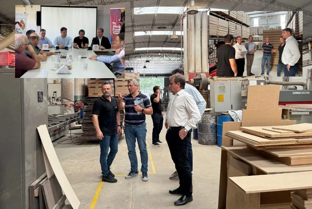 WhatsApp Image 2025-12-17 at 14.05.51