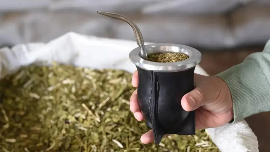 yerba-mercado-1024x576