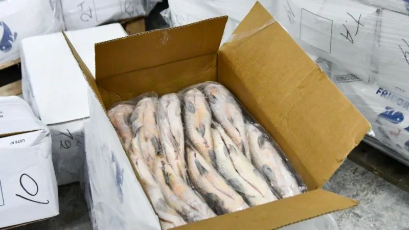 veda_sxbalo_1.jpg_1756841869