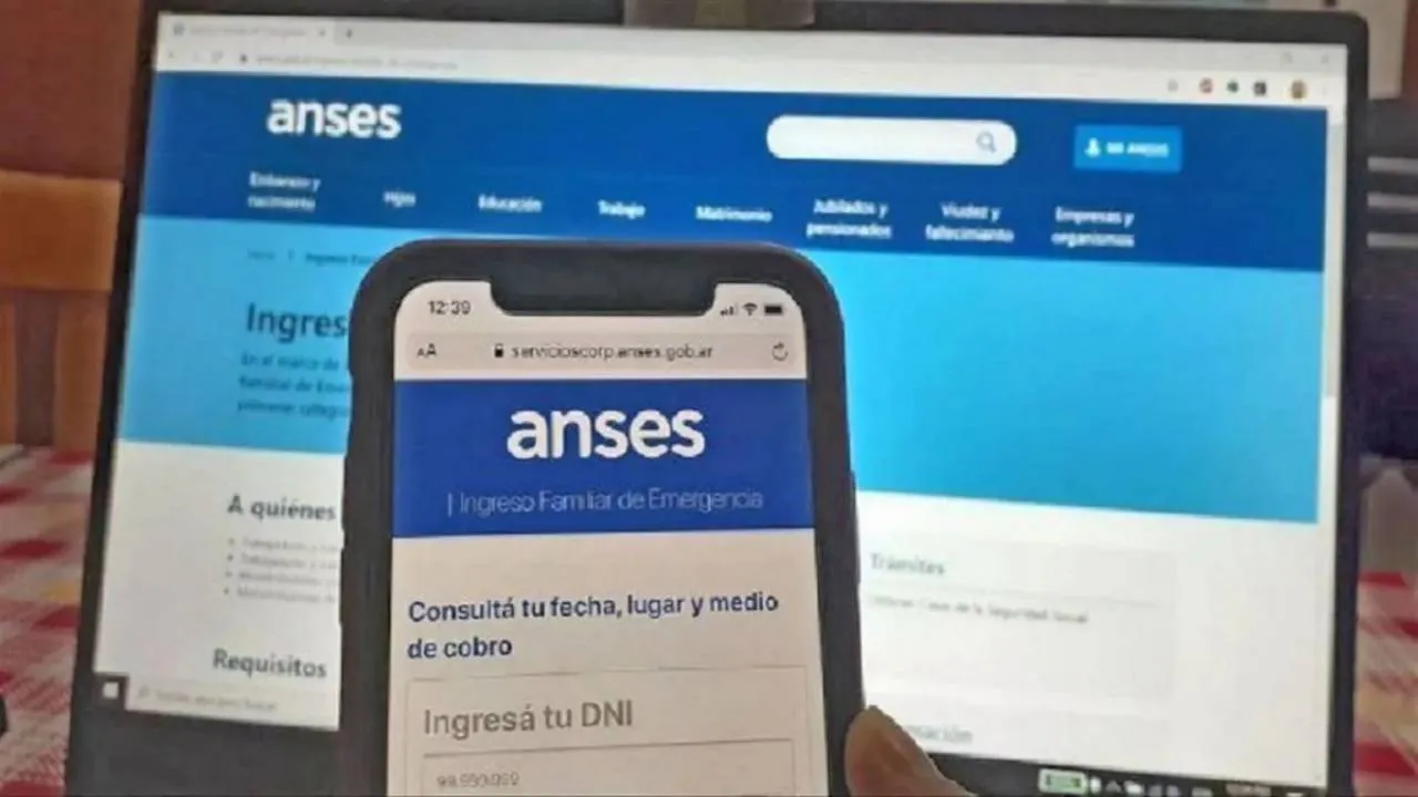 anses-1-1