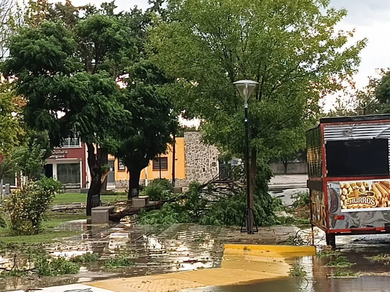 420659512_907953221242092_1735762097270334992_n