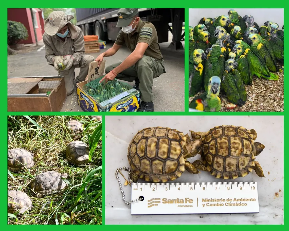 WhatsApp Image 2026-02-17 at 17.26.05