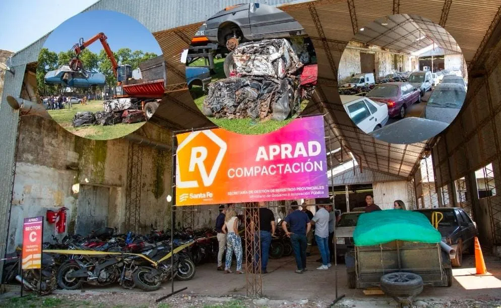 WhatsApp Image 2026-02-01 at 18.15.44