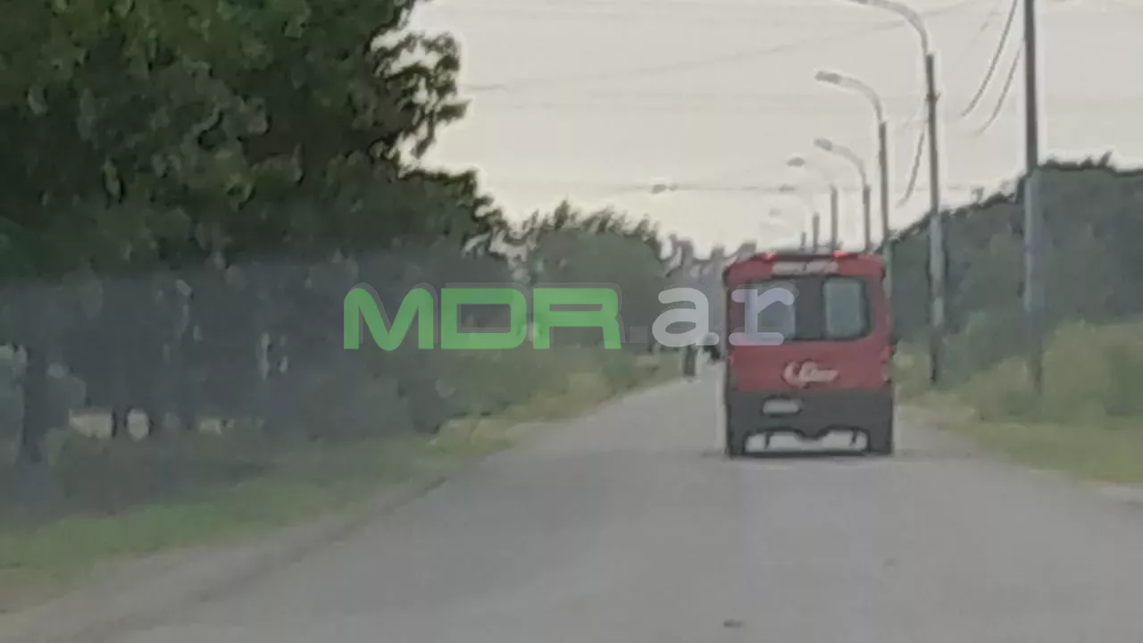 Imagen de WhatsApp 2023-02-22 a las 08.41.04