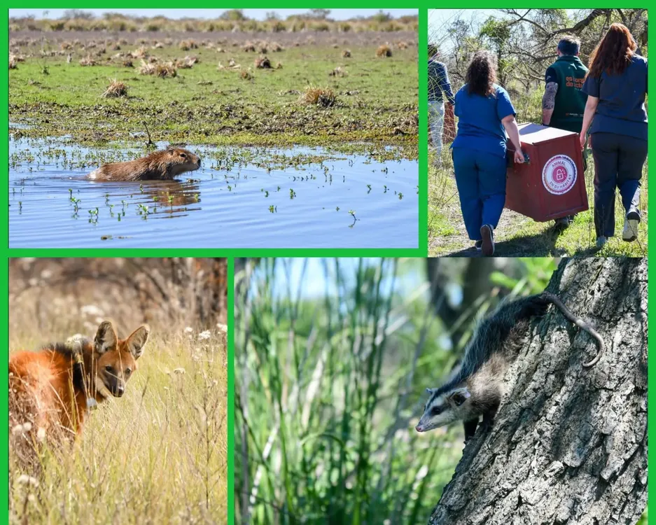 WhatsApp Image 2026-01-10 at 17.16.30