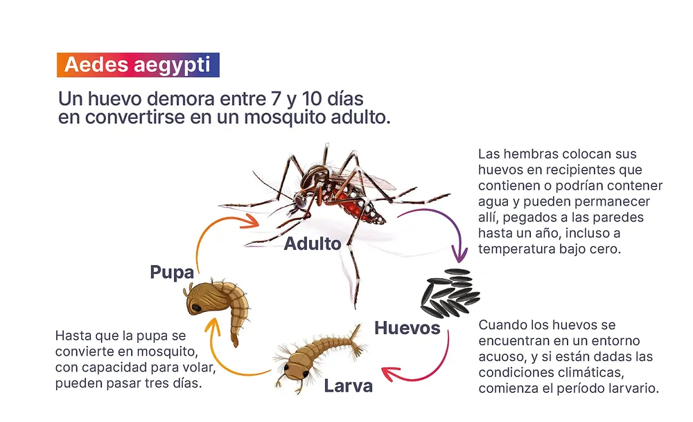 Proyecto-nuevo-2025-03-25T115226.461