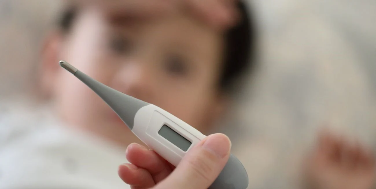 IBLuDObbp_1300x655__1