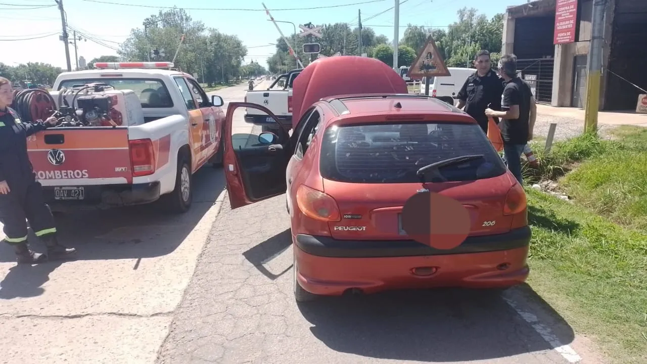 WhatsApp Image 2024-01-22 at 12.34.11