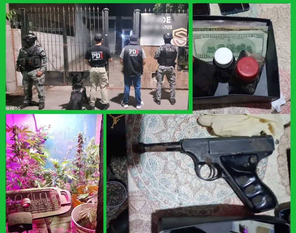 WhatsApp Image 2026-01-24 at 22.12.08