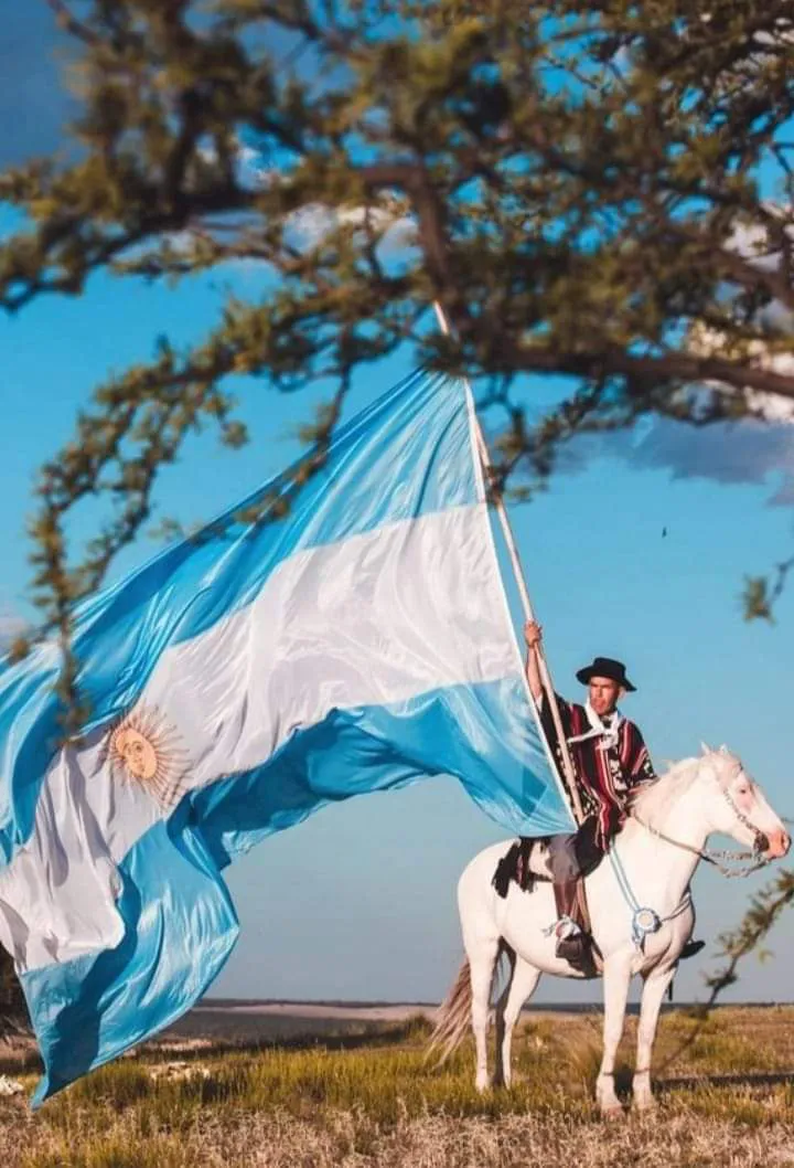 FB_IMG_1731229293590