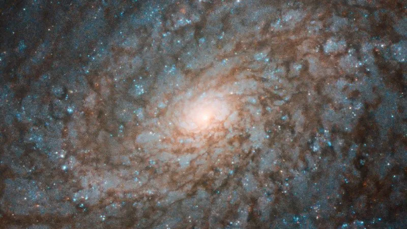 galaxia_crop1724261390607_crop1724866221658.jpg_1756841869