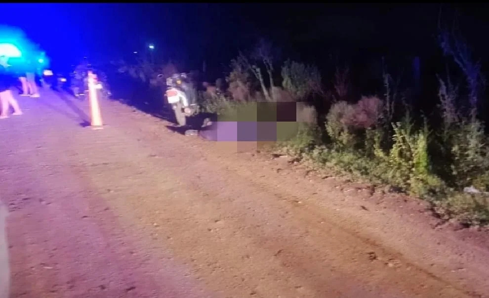 WhatsApp Image 2026-02-27 at 18.23.37