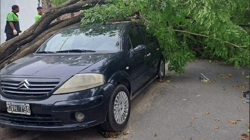 4be905fa-6285-468e-aa43-0d60598fea73_1.jpeg_1756841869