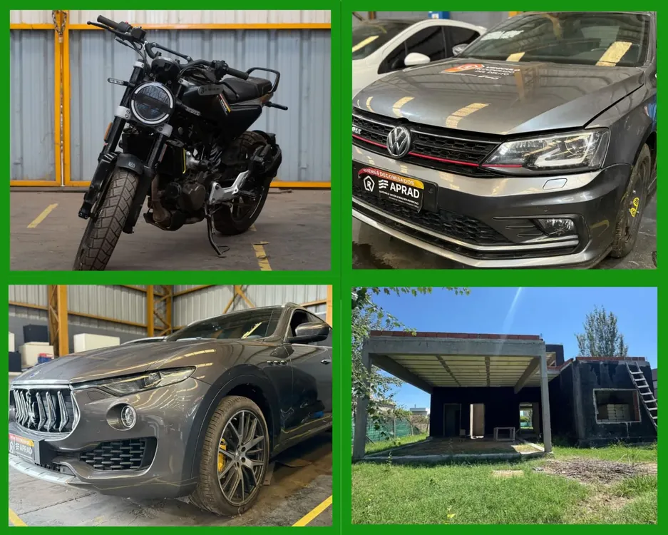 WhatsApp Image 2025-03-05 at 16.47.26