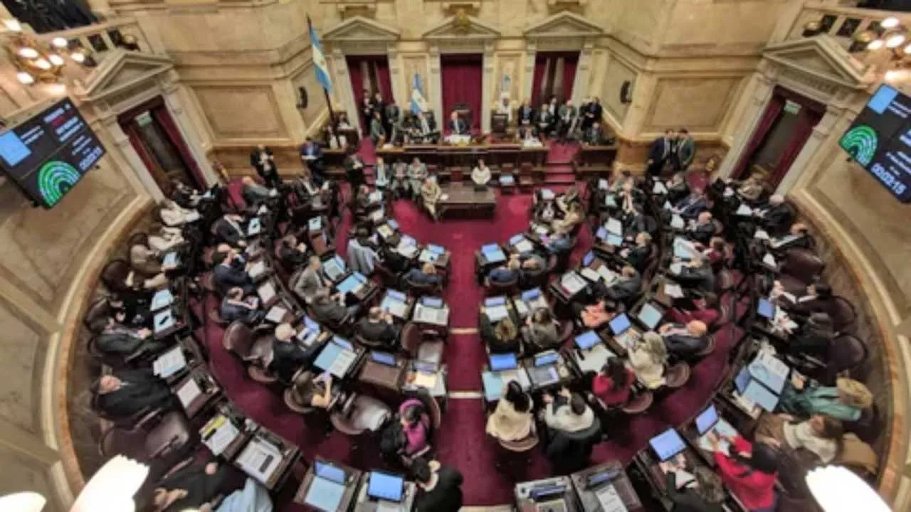 senado-discapacidad