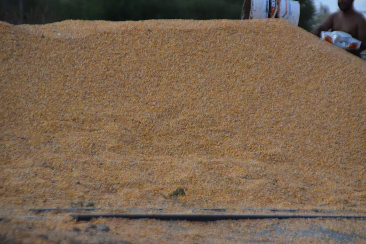 WhatsApp Image 2023-03-18 at 13.03.42 (1)