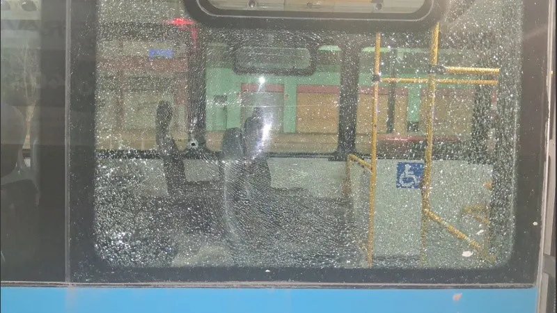 colectivo