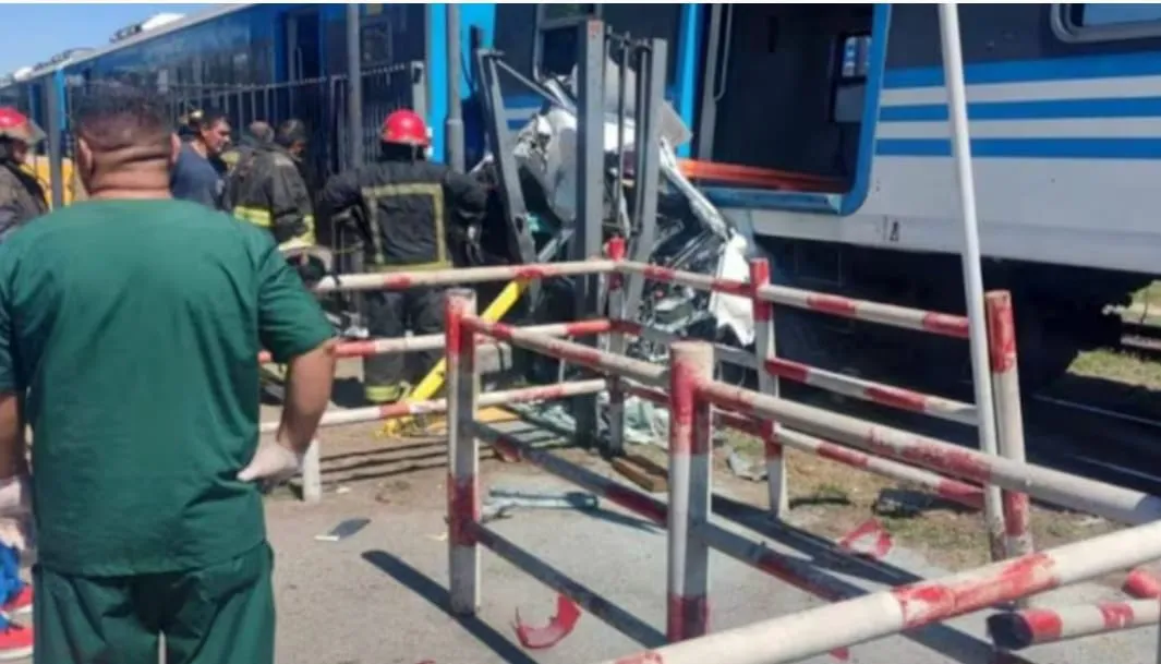 WhatsApp Image 2024-11-11 at 09.58.11