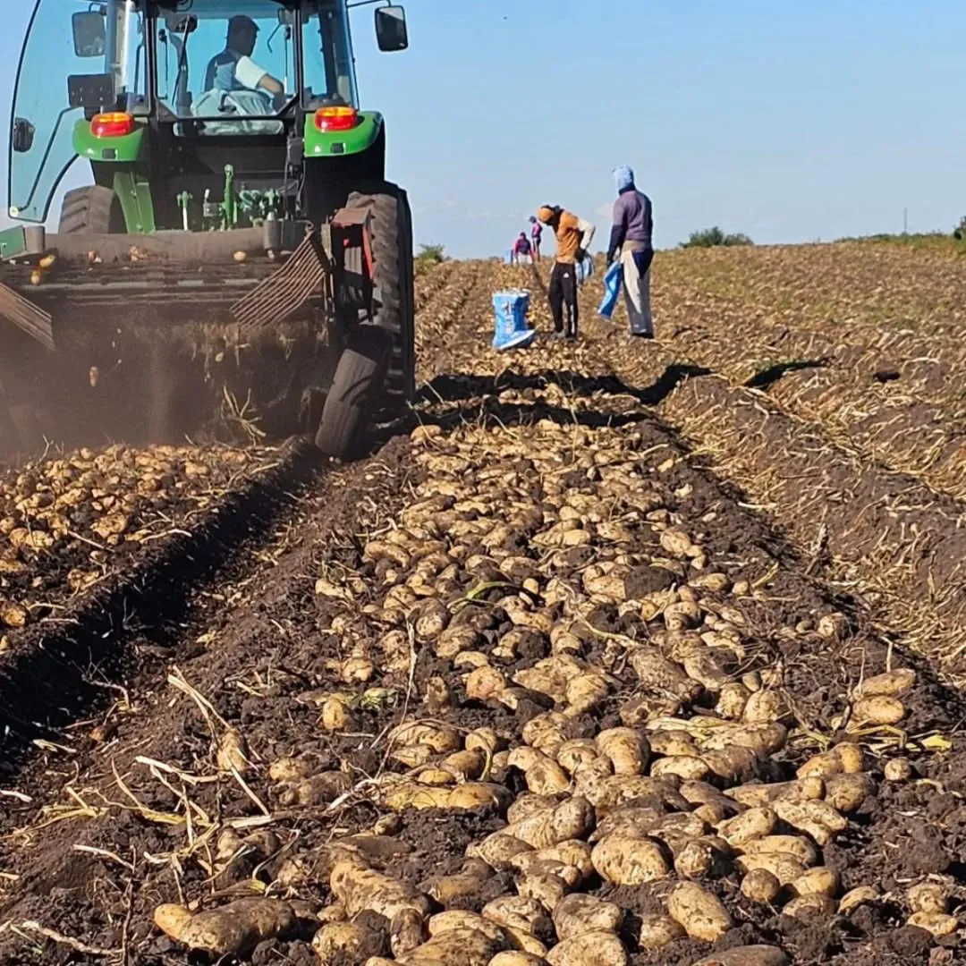 475652283_18463079863070444_6713498919591902659_n