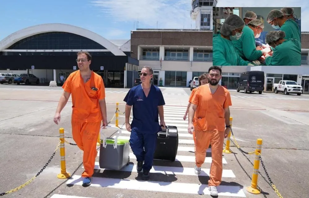 WhatsApp Image 2026-01-11 at 22.18.34