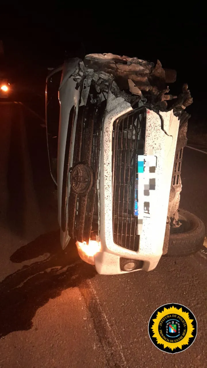 WhatsApp Image 2025-04-16 at 07.50.49