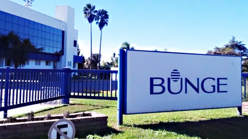 bunge.jpg_1572130063