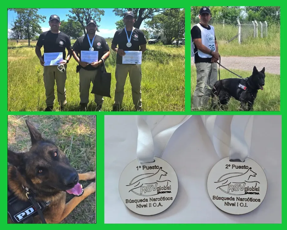 WhatsApp Image 2025-11-25 at 16.55.34