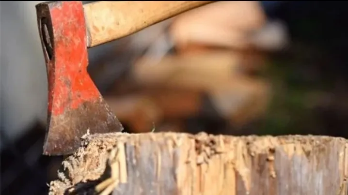 Screenshot_20240204_170057_Facebook