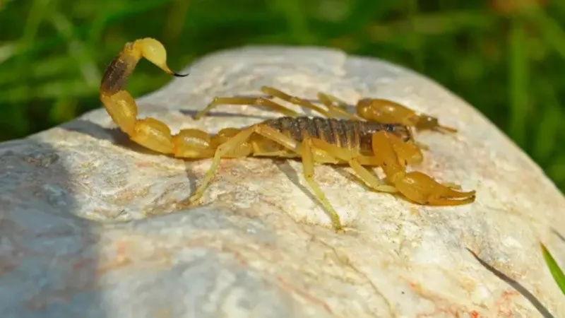 sectorsalud_1.jpg_1756841869