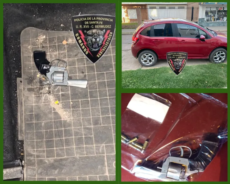 WhatsApp Image 2025-02-03 at 11.38.05