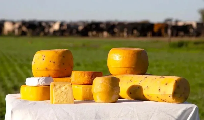 queso2