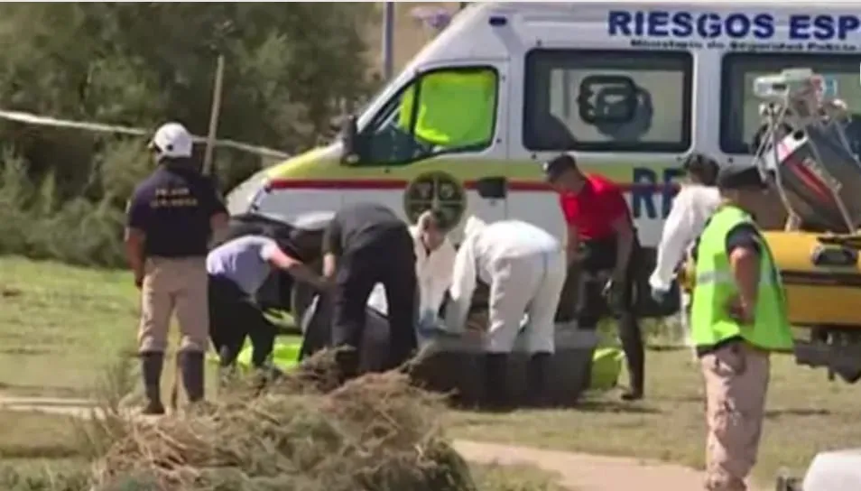 WhatsApp Image 2025-03-09 at 17.36.31