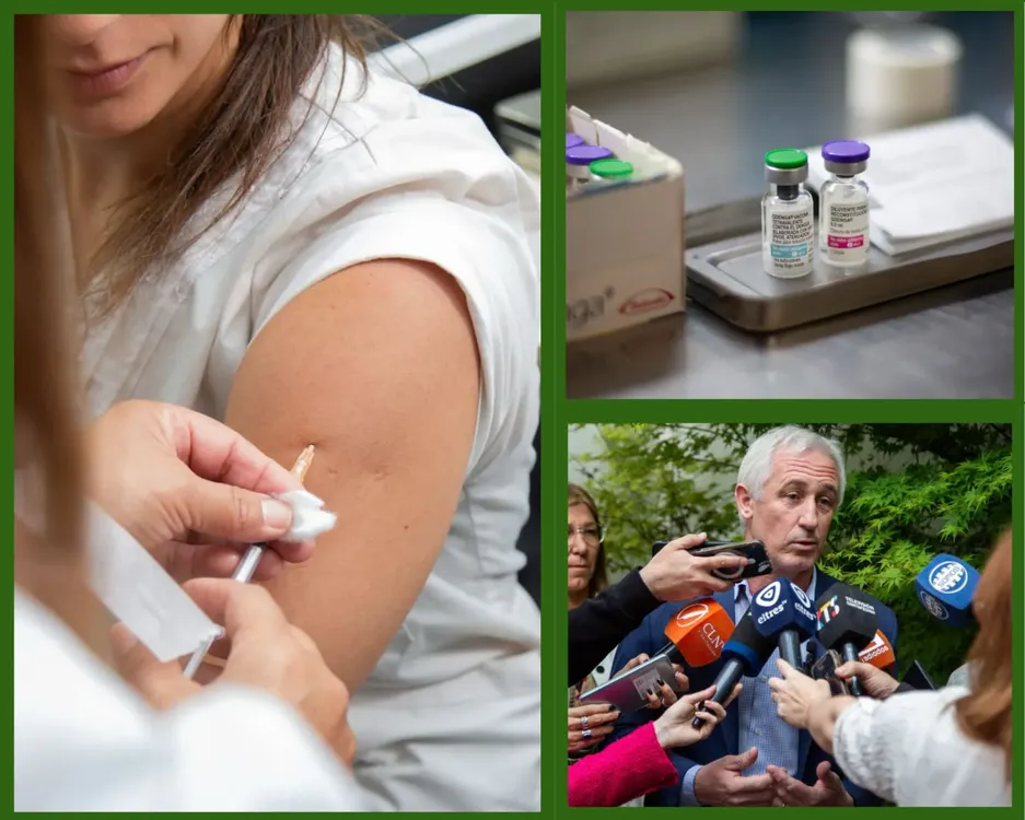 WhatsApp Image 2024-09-23 at 13.25.59