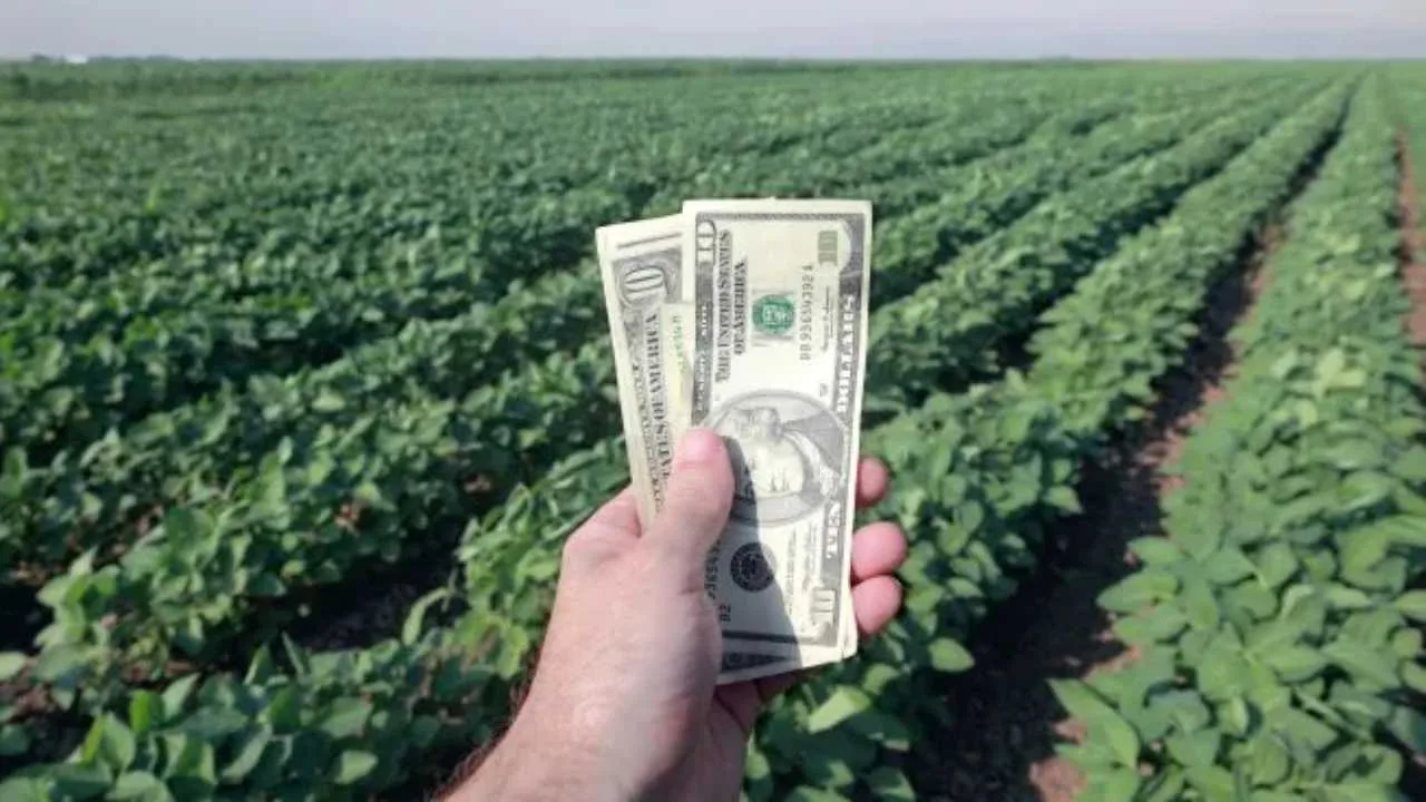 dolar-soja-granos-retenciones-1