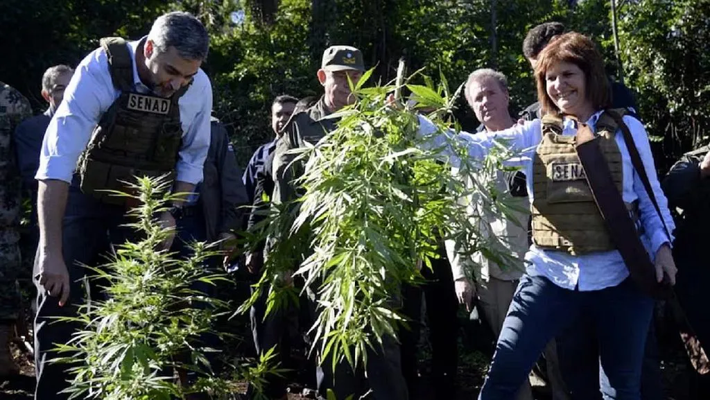 bullrich-marihuana-1024x577