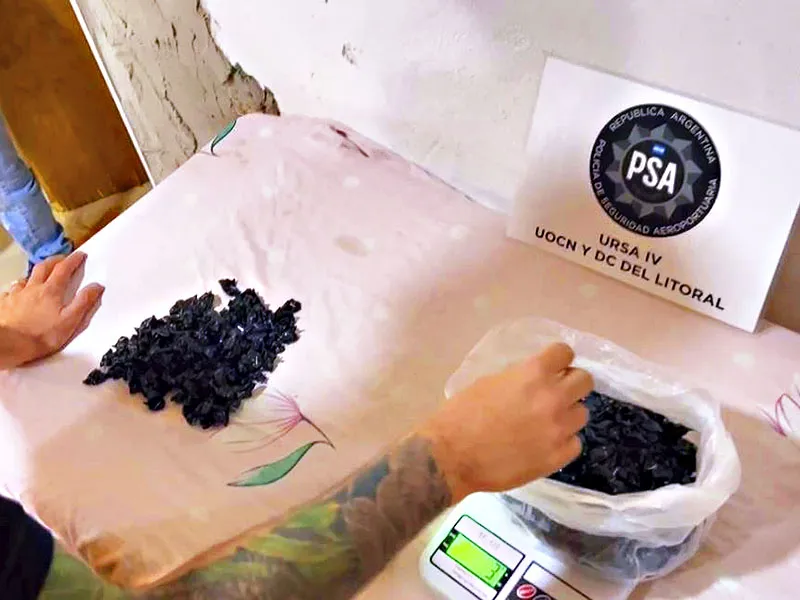 Proyecto-nuevo-2024-09-07T155502.132-1