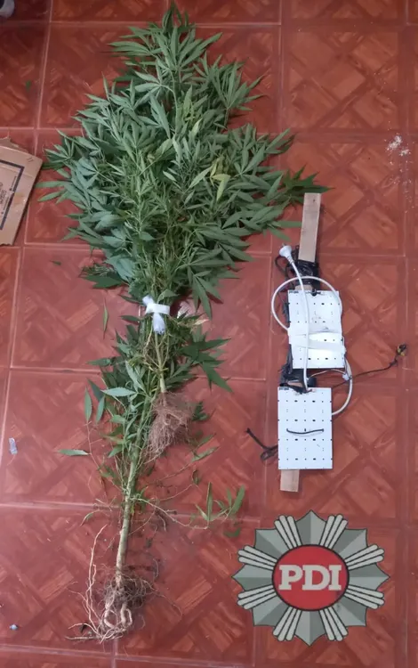 5bdba1eb-dcc2-4c0c-93f8-ec010358d5bd