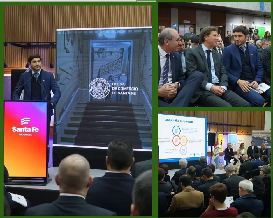 WhatsApp Image 2024-07-31 at 15.26.07