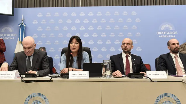 plenario-privatizacion-aerolineasjpg