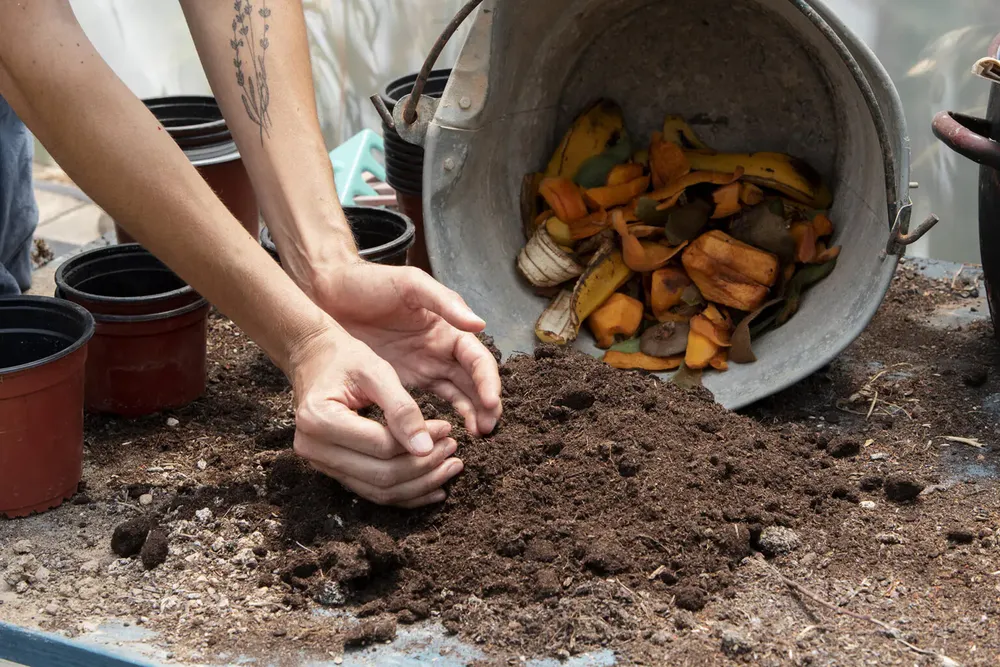 compost-1536x1024