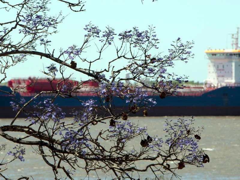 clima primavera