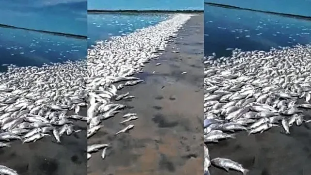 laguna-del-platajpg
