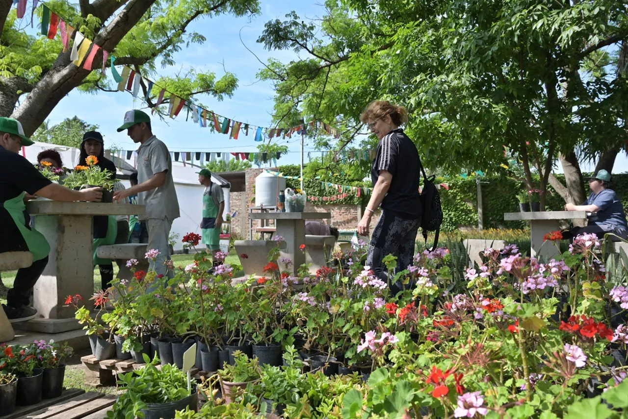 vivero1