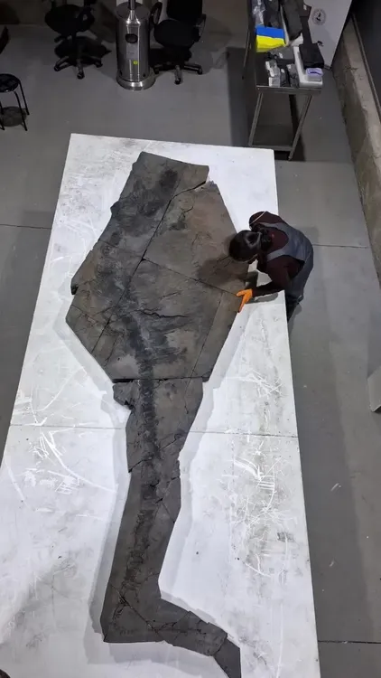 GGLJFY55QVCY7LH7B5TQCCVP74-768x1365