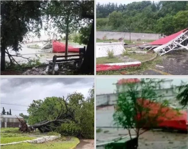 Screenshot_20240115_091024_Canva