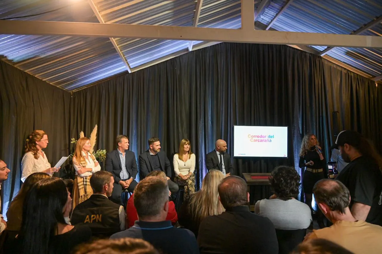 WhatsApp Image 2024-05-04 at 12.19.58 (1)