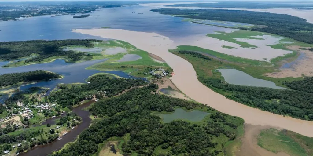 amazonia-1024x511