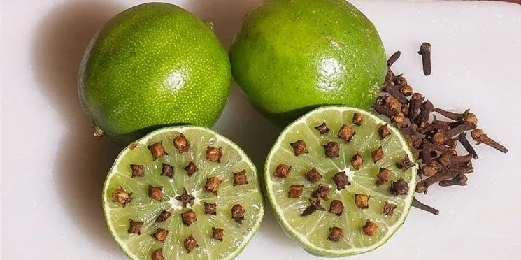 limon_y_clavo_de_olor.jpg_1088481085