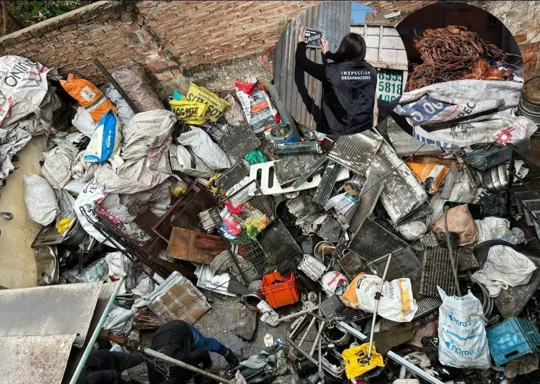 WhatsApp Image 2025-12-21 at 00.02.58