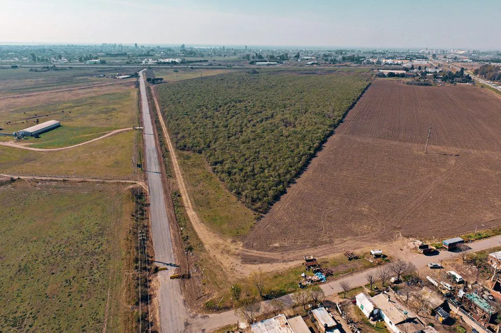 WhatsApp Image 2025-02-13 at 09.44.35